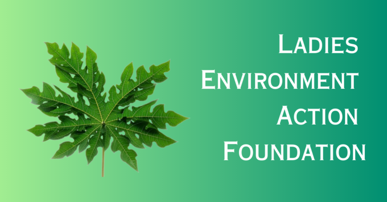 LADIES ENVIRONMENT ACTION FOUNDATION