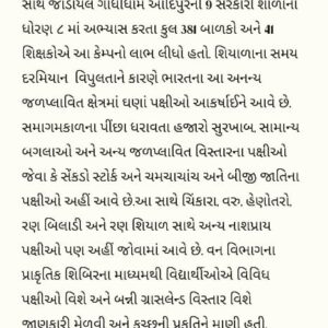 WhatsApp Image 2025-12-31 at 19.51.20